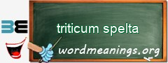 WordMeaning blackboard for triticum spelta